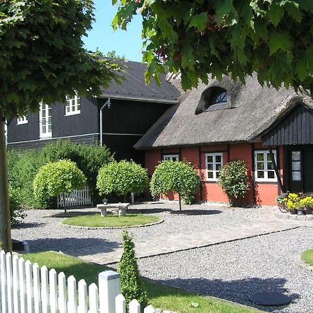 Lolland Bed & Breakfast Sollested  Dış mekan fotoğraf